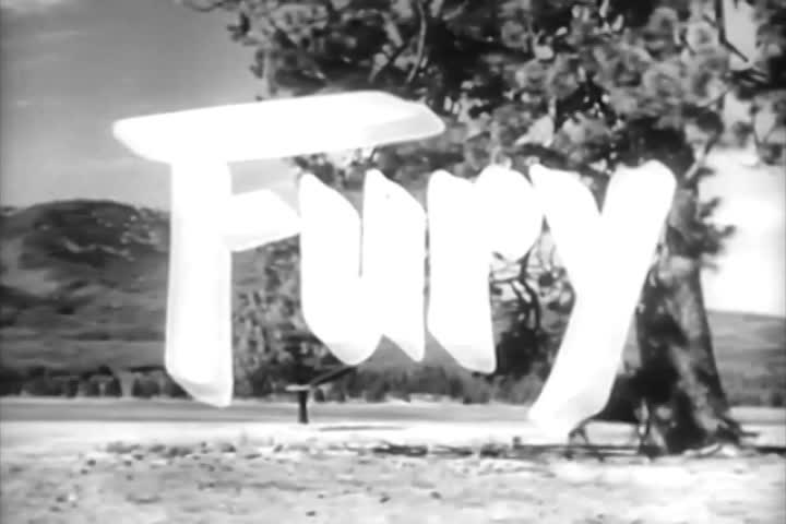 Saturday Morning Classic Television - Fury