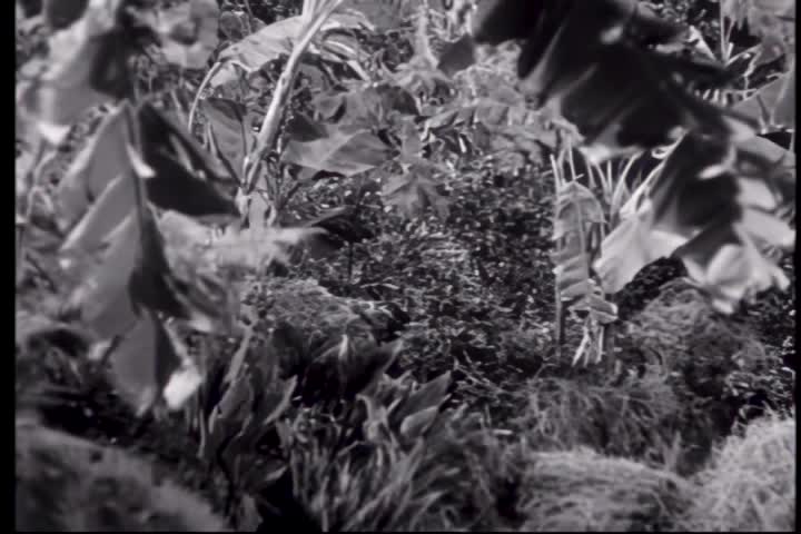 Thumbnail image for Friday Night Classic Movie