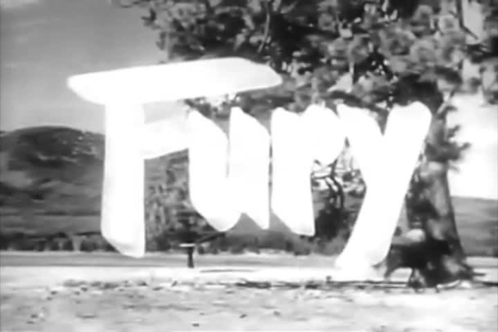 Thumbnail image for Classic Television - Fury