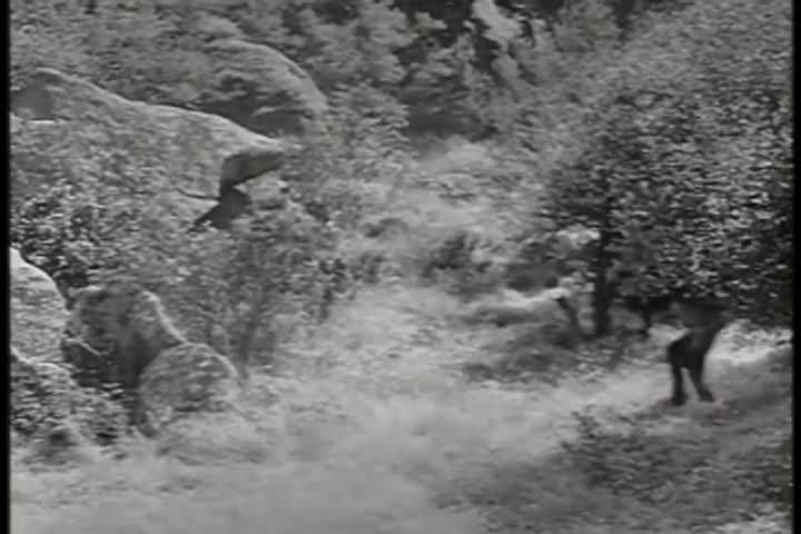 Thumbnail image for Saturday Morning Classic Television - Fury
