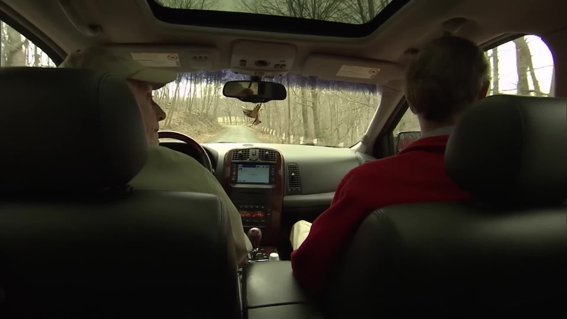 NASA Cosmic Dawn: The Untold Story of the James Webb Telescope