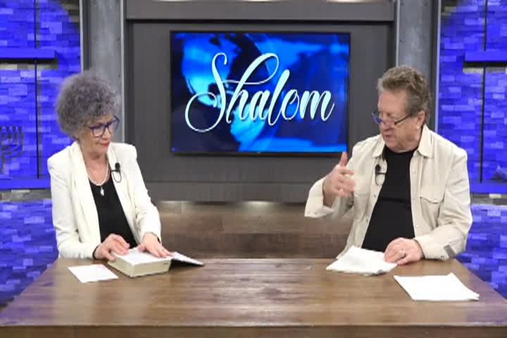 Thumbnail image for Shalom From Olive Tree