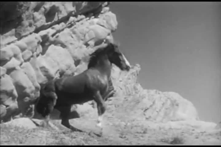 Thumbnail image for Saturday Morning Classic Television - The Adventures of Champion the Wonder Horse